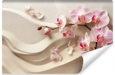 Produktbild von Muralo Vlies Fototapete Orchideen BLUMEN 3D Br. 315 cm x Hö. 210 cm Wandtapete für Esszimmer Schönheitssalon