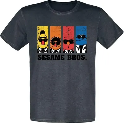 Produktbild von Sesame Street T-Shirt Herren Sesame Bros. schwarz M