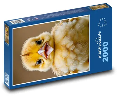 Obrázok produktu pre martinpuzzle - Puzzle 2000 - Kácatko