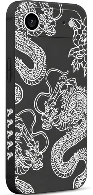 Image de Étui Pnakqil Dragon pour iPhone 17 Pro Max - Noir KP39892