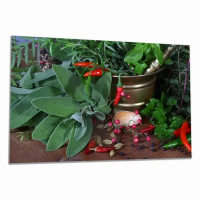 Produktbild von Wallario Herdabdeckplatte aus Glas, Größe 80 x 52 cm 1-teilig, Motiv Frische Kräuter und Gewürze