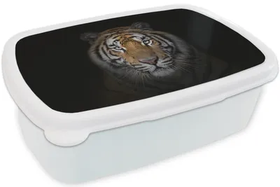 Produktbild von KitchenYeah® Lunchbox Brotzeit Brotdose 17x11 cm Tiger - Wildtiere - Porträt - Schwarz - Tiere Kinder Brotzeitdose - Lunch Box - Kinder - Sandwich-Box - Schulbox - Lunch Boxen
