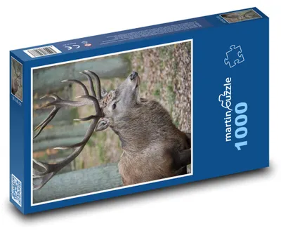 Obrázok produktu pre Puzzle 1000 Majestátny jeleň v lese - martinpuzzle