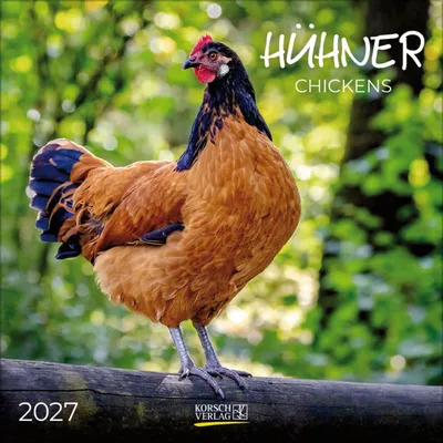 Produktbild von Hühner 2027: Broschürenkalender mit Ferienterminen. Tierkalender mit viel Platz für Notizen. Mit Monatskalendarium zum Eintragen. 30 x 30 cm