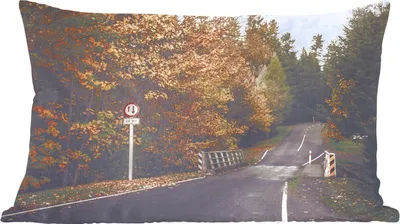 Produktbild von MuchoWow® Zierkissen Sofakissen Wohnzimmer Dekokissen 60x40 cm Bäume - Straße - Herbst - Kopfkissen - Polster mit Foto