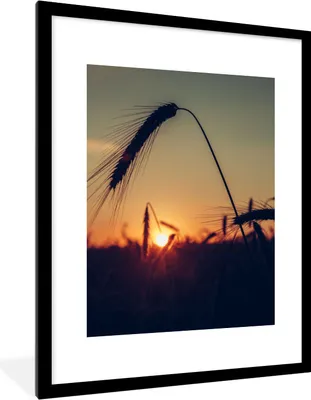 Produktbild von MuchoWow® Gerahmtes Poster Gras - Herbst - Sonnenuntergang - Jahreszeiten - Landschaft 60x80 cm - Poster mit Schwarzem Bilderrahmen Wandposter Rahmen Foto Bilder - Wohnzimmer - Dekorationen - Prämie