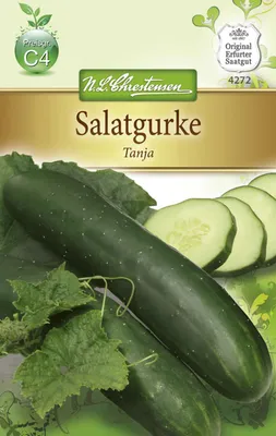 Produktbild von Freilandsalatgurke Tanja | Freilandgurkensamen von N.L. Chrestensen