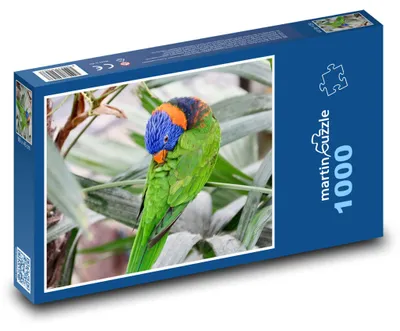 Produktbild von Puzzle 1000 Regenbogenpapagei im Regenwald - martinpuzzle
