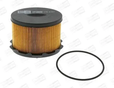 Image de Filtre à carburant CFF100250