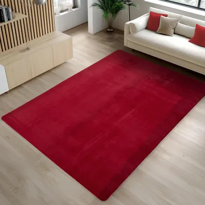 A red rug is laid out on a wooden floor in a modern living room setting, with a sofa and a cabinet visible in the background.