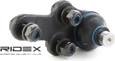 Produktbild von RIDEX Traggelenk Vorne für FORD Fiesta Mk5 Schrägheck (JH1, JD1, JH3, JD3) 2462S0088