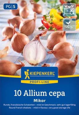 Produktbild von Steckzwiebel Kiepenkerl Schalotte 'Mikor' 10 Stück