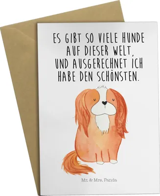 Produktbild von Mr. & Mrs. Panda Grußkarte Hund Cavalier King Charles Spaniel - Weiß - Geschenk, Sprüche, Spruch, Bester, glückwunschkarten, Hundeliebe, jubiläumskarte, weihnachtskarten