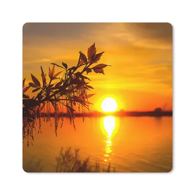 Produktbild von MuchoWow® Mauspad Mousepad Sonnenuntergang - Wasser - Pflanzen - Orange 20x20 cm - Mousepads - Maus Mat - Pad - Mausunterlage - Desk Mat - Bureauartikeln