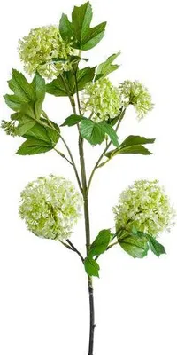 Produktbild von Kunstpflanze Künstliche Viburnum Opulus Zweige Creme 75cm 4er-Set Realistische