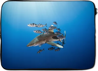 Produktbild von MuchoWow® Laptop Hülle 14 ZollHai mit Fisch Laptoptasche - Laptoptasche - Stoßsicher - Schutzhaube
