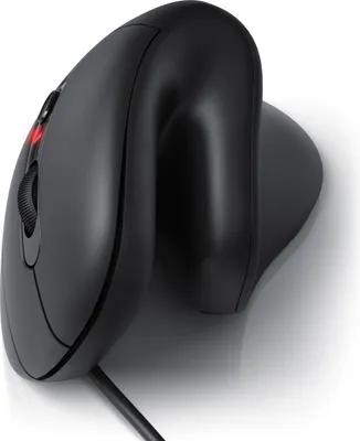 A black ergonomic vertical mouse on a white background.