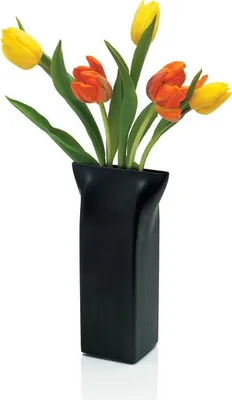 Produktbild von Alessi "Pinch Vase" Vase (Art.-Nr. ASH01 B, EAN 8003299338276)