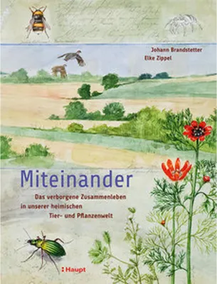 Obrázek produktu pro Miteinander
