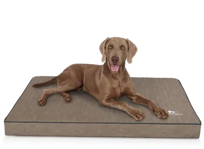 Produktbild von Knuffelwuff orthopädische Hundematte Palomino aus laser-gestepptem Kunstleder XXL 115 x 80 Stone