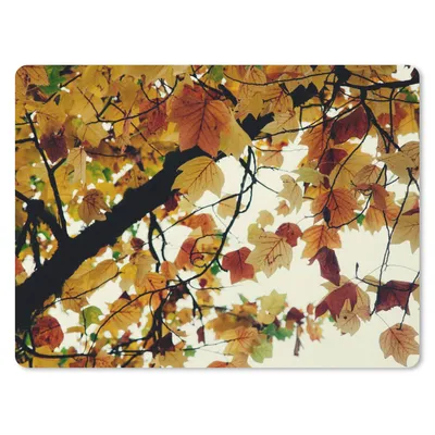 Produktbild von MuchoWow® Mauspad Mousepad Bäume - Herbstblätter - Natur 23x19 cm - Mousepads - Maus Mat - Pad - Mausunterlage - Schreibtischunterlage - Mauspad