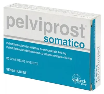 Produktbild von PELVIPROST SOMATICO, 20 Tabletten