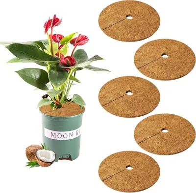 Produktbild von 5 Stück 25cm Kokosmatten, Kokosscheibe Winterschutz Kokosfasermatte Kokos Pflanzenschutz, Kokosscheibe Für Pflanzen, Nachhaltig Pflanzenschutz