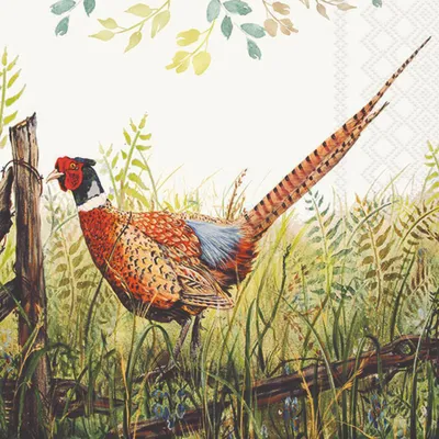 Obrázek produktu pro Ubrousky 33 x 33 cm – Nádherný bažant