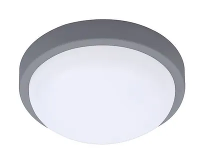 Obrázek produktu pro Solight Šedé LED stropní/nástěnné svítidlo 20W IP54 WO750-G