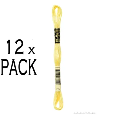 Obrázok produktu pre 12x DMC vyšívacia niť Mouline Special 117MC -727, 6-vrstvová, 8 m, VPE