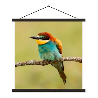 Produktbild von MuchoWow® Textilposter Vogel - Bienenfresser - Tiere 90x90 cm mit schwarzem Rahmen - Magnetisches