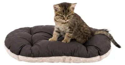 Produktbild von Ferplast Sehr Kleines Hundebett & Katzenbett Waschbar Hundekissen Welpenmatratze