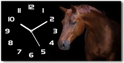 Produktbild von Wanduhr aus Glas – 60x30 cm - Glasbild - Glasuhr - Gehärtetes Glas - weisse-zeiger - Brown-Pferd