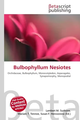 Produktbild von Bulbophyllum Nesiotes