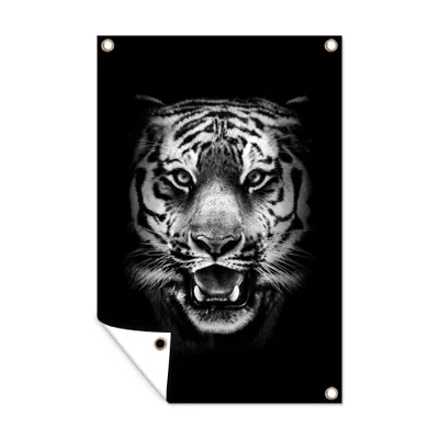 Obrázek produktu pro MuchoWow® Zahradní plakáty - Tygří hlava na černém pozadí - černobílá - 60x40 cm - Zahradní dekorace