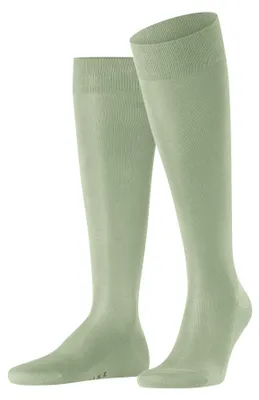 Productafbeelding van FALKE Tiago kniekousen, olijgroen (7710), maat 45-46