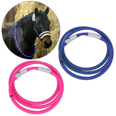Produktbild von Leuchtender LED-Halsring für Pferde 52cm USB Leuchthalsring pink o. blau, Farbe:pink