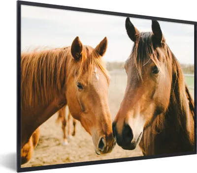 Produktbild von MuchoWow® Gerahmtes Poster Pferd - Strand - Tiere 80x60 cm - Poster mit Schwarzem Bilderrahmen Wandposter Rahmen Foto Bilder - Schwarzem - Mit Gestell
