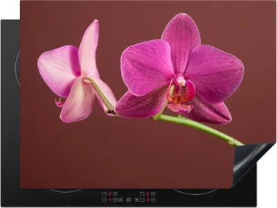 Produktbild von KitchenYeah© Herdabdeckplatte Blumen - Orchideen - Rosa , 70x52cm, Küche Deko, Glaskeramikkochfeld Herdabdeckung, Abdeckplatte fùr Kochfeld