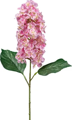 Produktbild von Künstliche Deko-Blume Hortensie aus der Serie WILDHORTENSIE, 63 cm, rosa