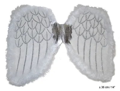 Immagine prodotto di Ali angelo colore bianco circa 36 x 48 cm piume