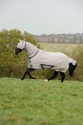 Produktbild von Bucas Freedom Fliegendecke, Outdoordecke, Farbe:Silver, Größe:145