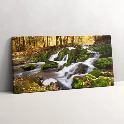 Produktbild von Ein Bach im Herbstwald – Leinwandbild Wandbild – 100x50 cm – Leinwandbilder – Wandbilder – Schlafzimmer – Flur