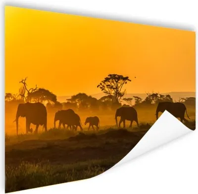 Produktbild von MuchoWow® Poster Elefantenherde bei Sonnenaufgang 180x120 cm - Fotoplakat