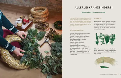 Image de Wintergrün & Sternanis