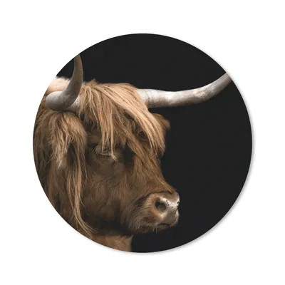 Produktbild von MuchoWow® Mauspad Mousepad Schottischer Highlander - Tiere - Kuh 40x40 cm - Mousepads - Maus Mat - Pad - Mausunterlage - Schreibtisch Accessoires