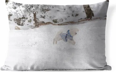 Produktbild von MuchoWow® Outdoor Kissen - Malteser Hund springt in den Schnee - 60x40 cm - Wetterfest - Lounge Kissen - Zierkissen - Kissen für Innenräume