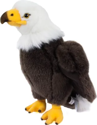 Image de Aigle de mer à tête blanche Doudou 24 cm Uni-Toys