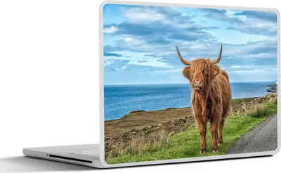 Produktbild von MuchoWow® Laptop Aufkleber Sticker Cover Schottische Hochlandrind - Wolken - Landschaft 36.5x27.5 cm - Laptop-Sticker