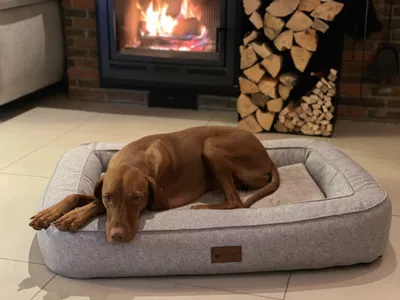 Produktbild von Petlando Orthopädisches Hundebett Lima M stone